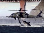 Shark Helicopter.jpg