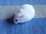 DSC00724.JPG