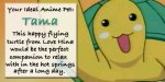 211_tama.jpg
