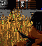s2.gif