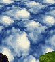 zoom-quiz.png