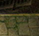 zoom-stufe-1.png