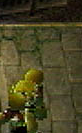 zoom-stufe-2.png