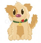 Hund.jpg
