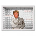 antidonald_trumpmalerei_in_einer_zwangsjacke_poster-r86a15b5f12794cd9ba954f9a70d66fb8_wvx_8byv...jpg