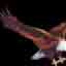 Crom