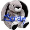 Soran