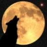 Direwolf