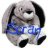 Soran